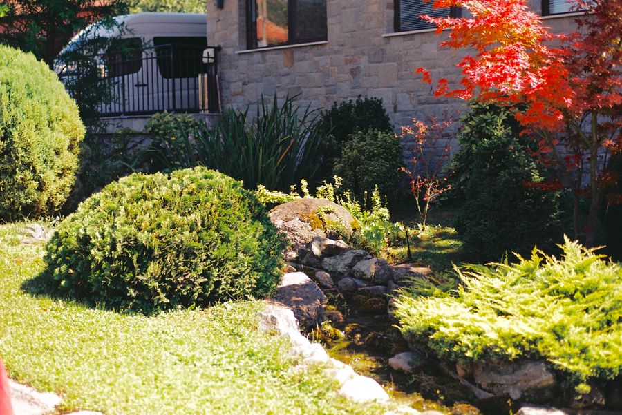 Established garden with a stone path and colourful foliage